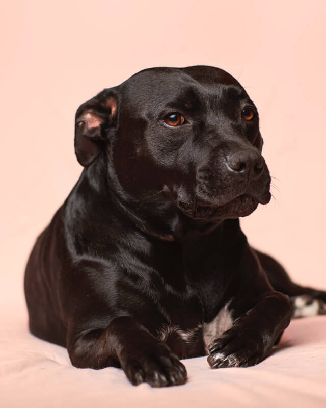 formulario de contacto